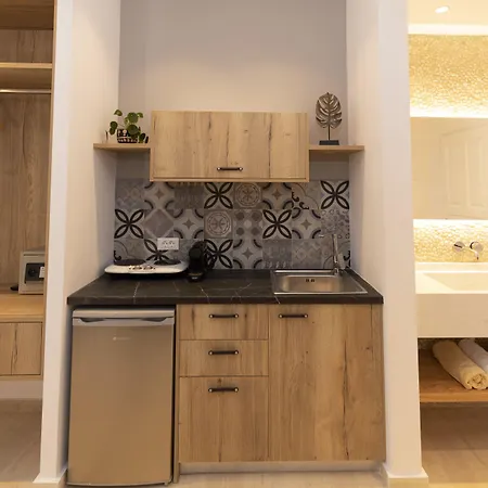 루이스 스튜디오 산토리니 아파트호텔 4*